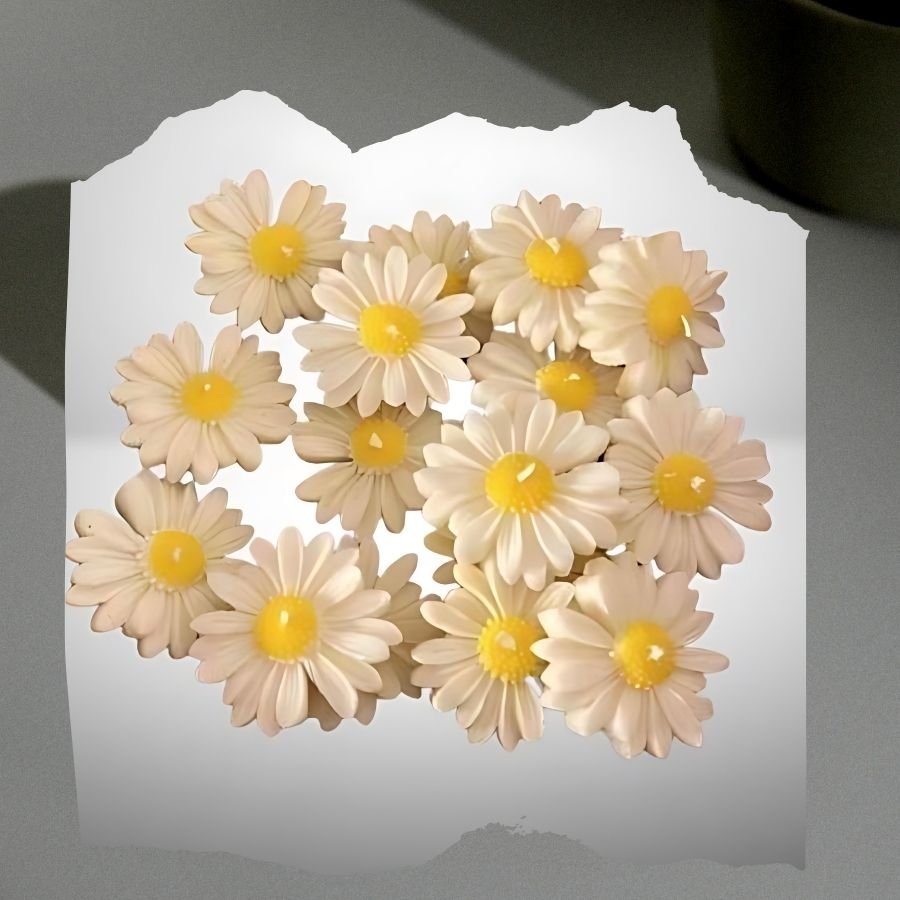 Illuminate Your Space with Flowery Soy Wax Candles